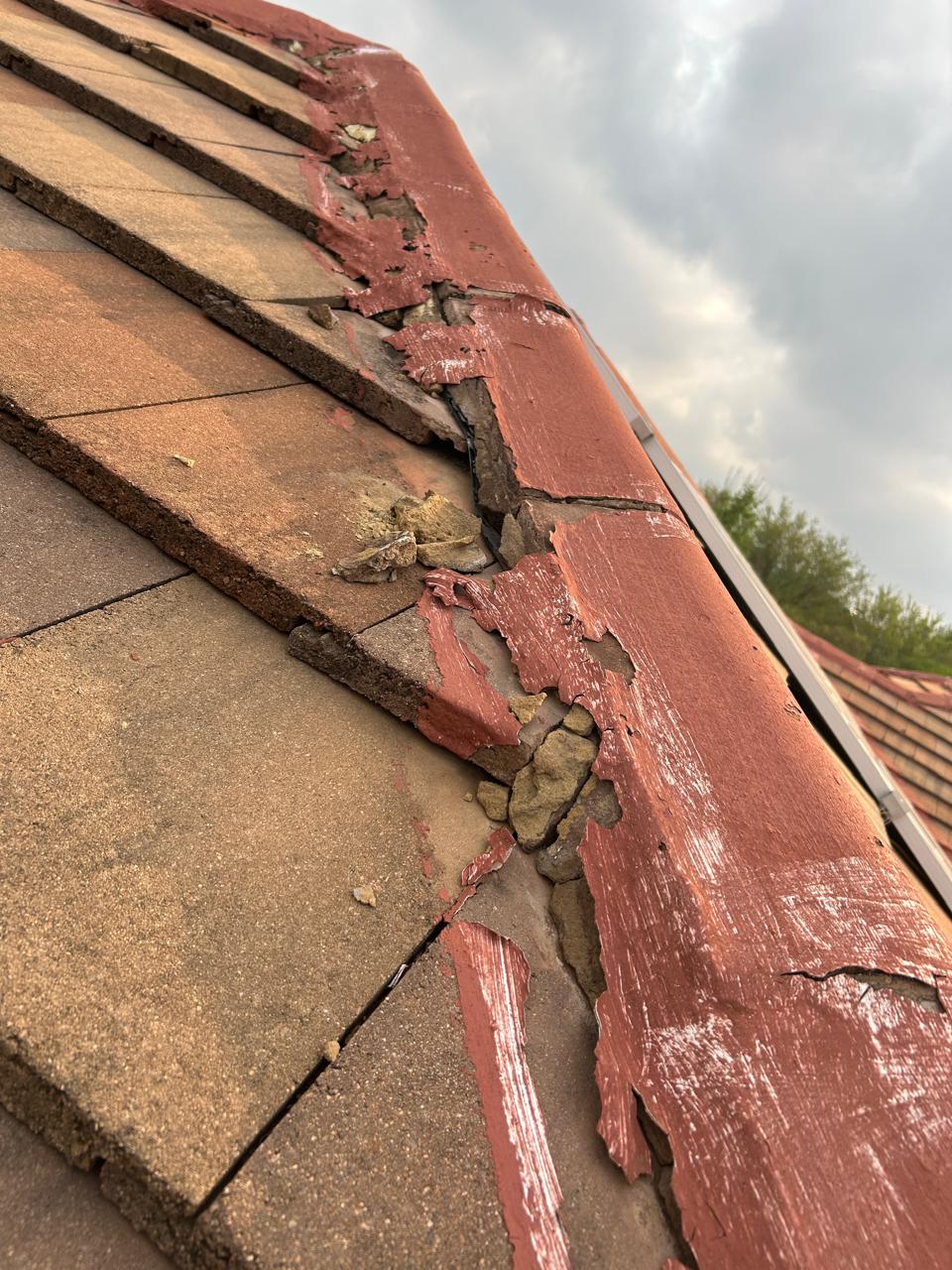 Roof Ridge Assessment, Existing coating detail