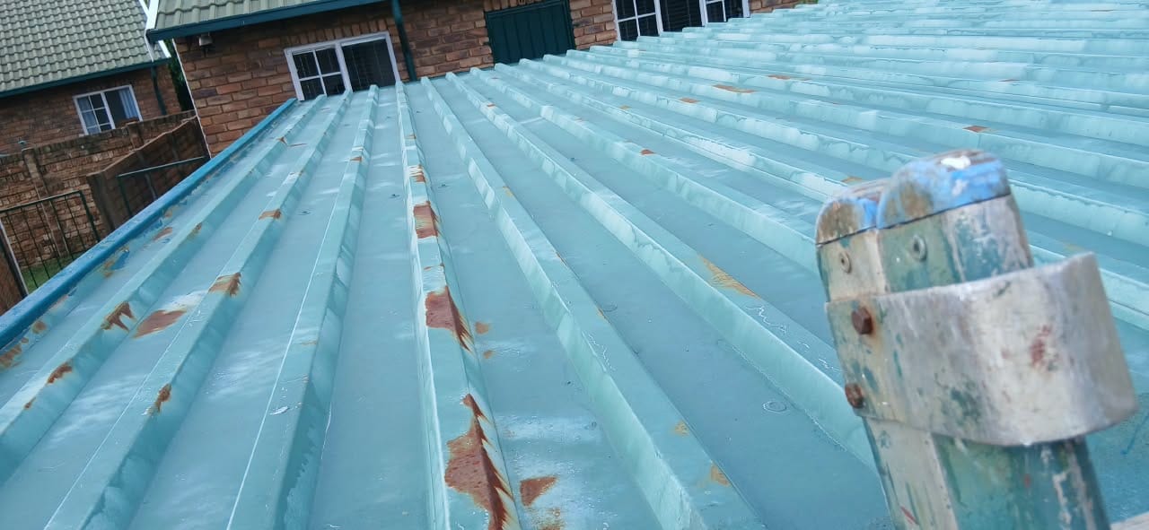 Metal Roof — Before, Delta Park